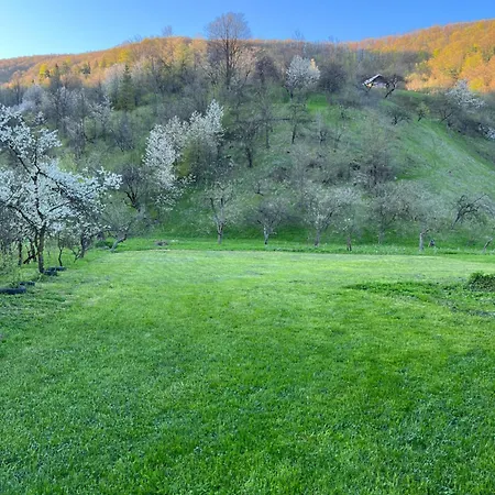 Holiday home заворіття
